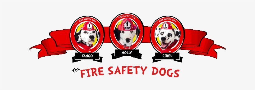 Live Video App For Facebook By Ustream - National Pet Fire Safety Day Text, transparent png #2568246