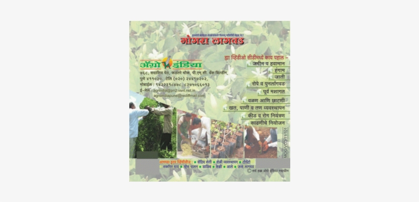 Agriculture, transparent png #2568811