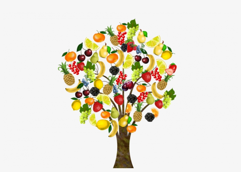 Beneficios Del Retinol - Arbol De Frutas Png, transparent png #2569369
