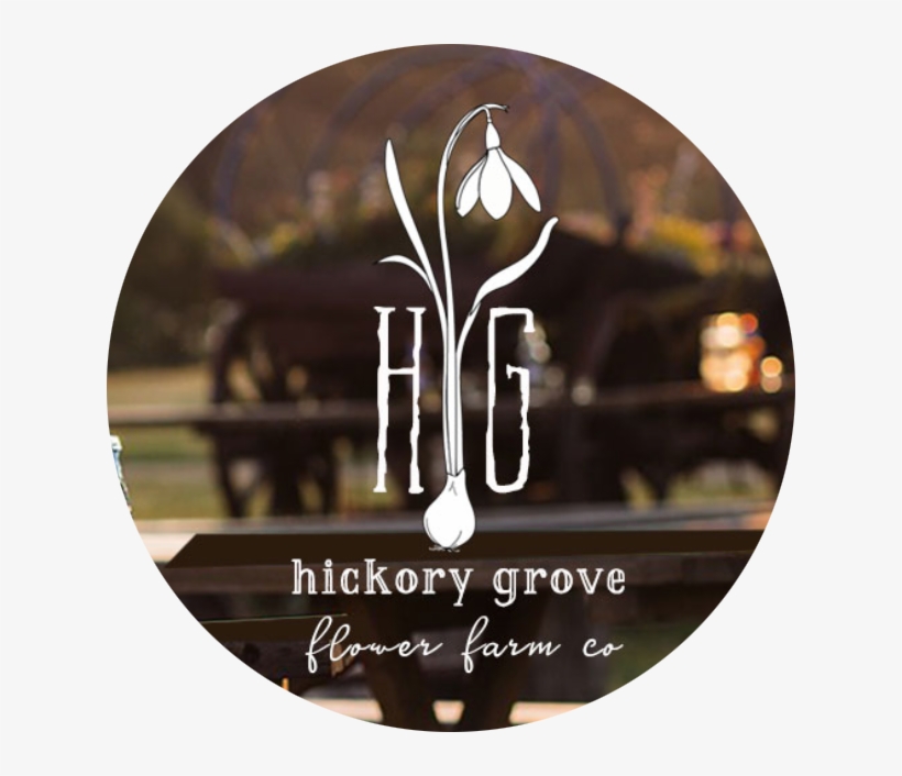 Hickory Grove Flower Farm - Farm, transparent png #2569397