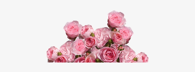 Roses, Love, Wedding, Romantic - Cafepress ! Samsung Galaxy S8 Plus Case, transparent png #2569403