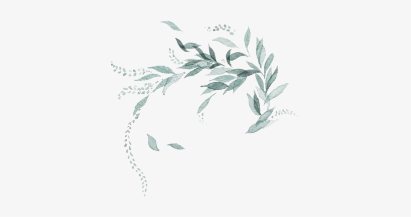 Sketch, transparent png #2569615