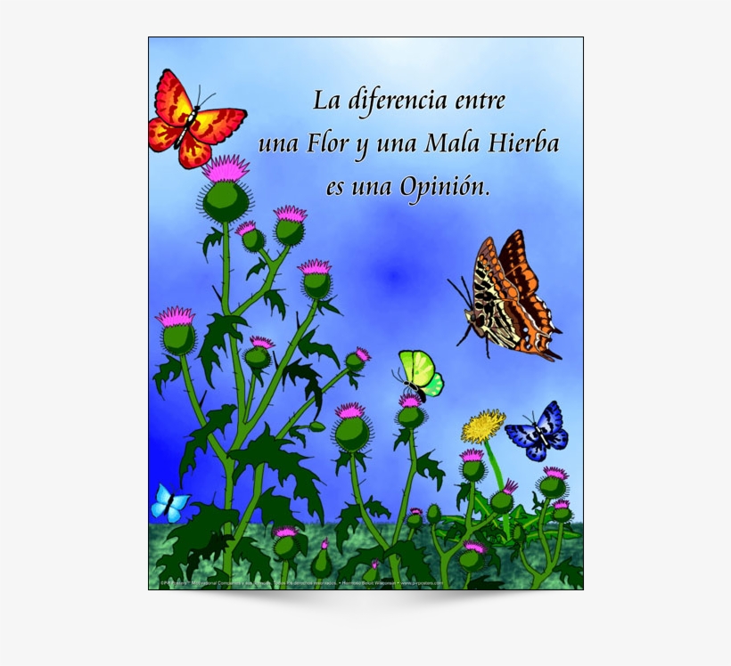The Difference Between A Flower - Seasons Of The Soul [book], transparent png #2569684