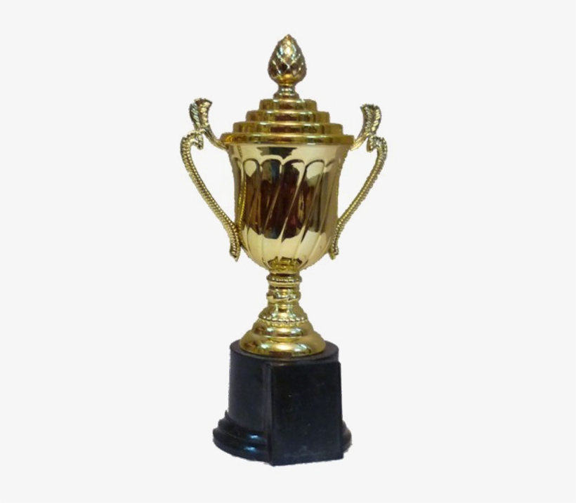 Corporate Gift Company,corporate Office Christmas Gifts - Trophy, transparent png #2569732