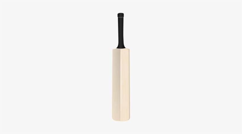 Cricket - Cricket Bat Vector Free, transparent png #2569763