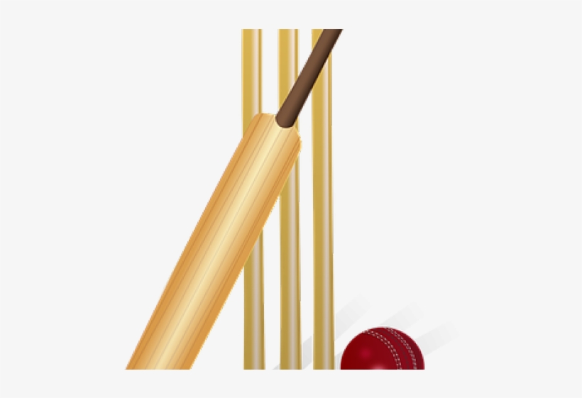 Day Without Cricket Throw Blanket, transparent png #2569862