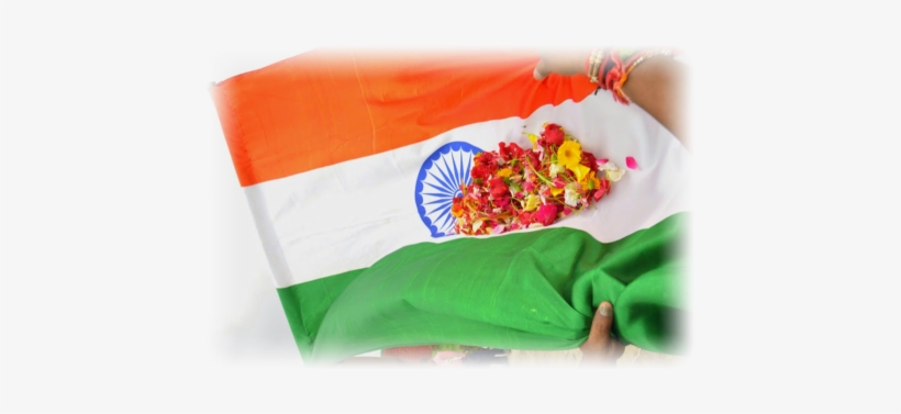 I3 - Artificial Flower, transparent png #2569891