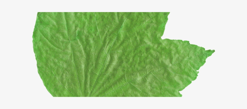 Newsletter Signup - Quilt, transparent png #2570030