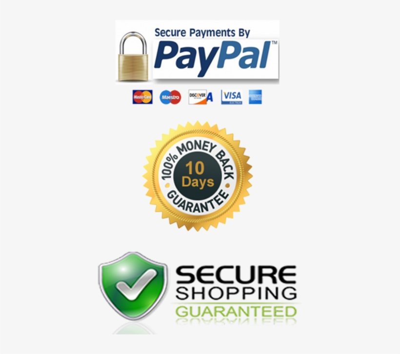 Celebrity Jacket - Autumn Forest Print On Canvas, Forest Wall Art, Framed, transparent png #2570123