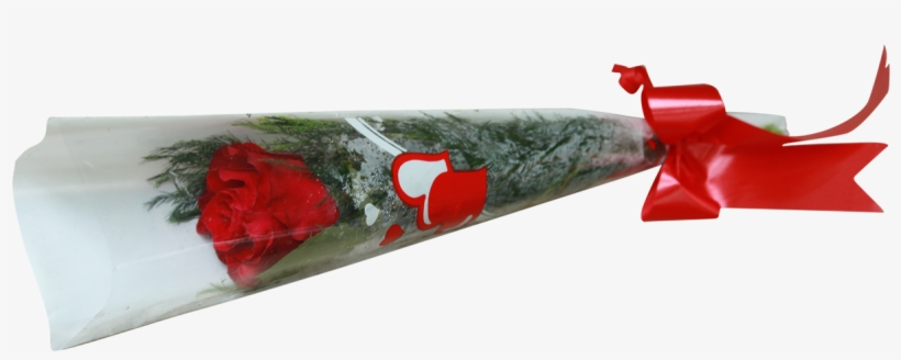 Single Rose With Cellophane Cone - Single Rose In Cellophane, transparent png #2570362