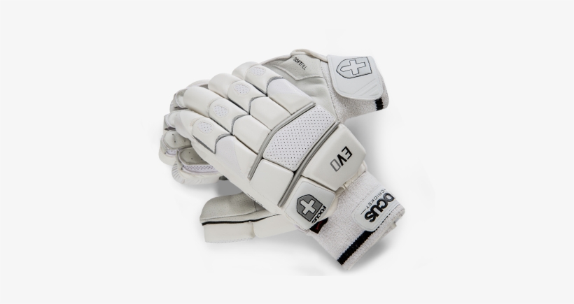 Product Maintenance - Cricket Gloves Png, transparent png #2570501