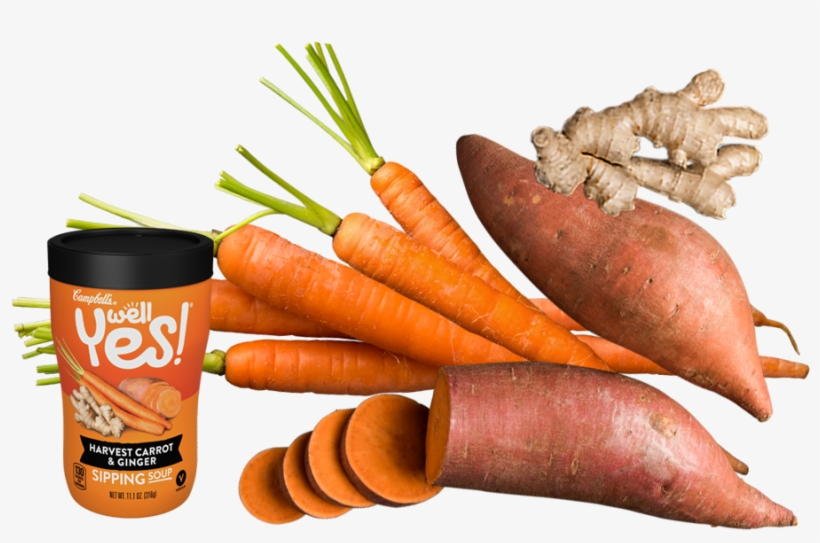 Harvest Carrot & Ginger Sipping Soup - Soup, transparent png #2570503