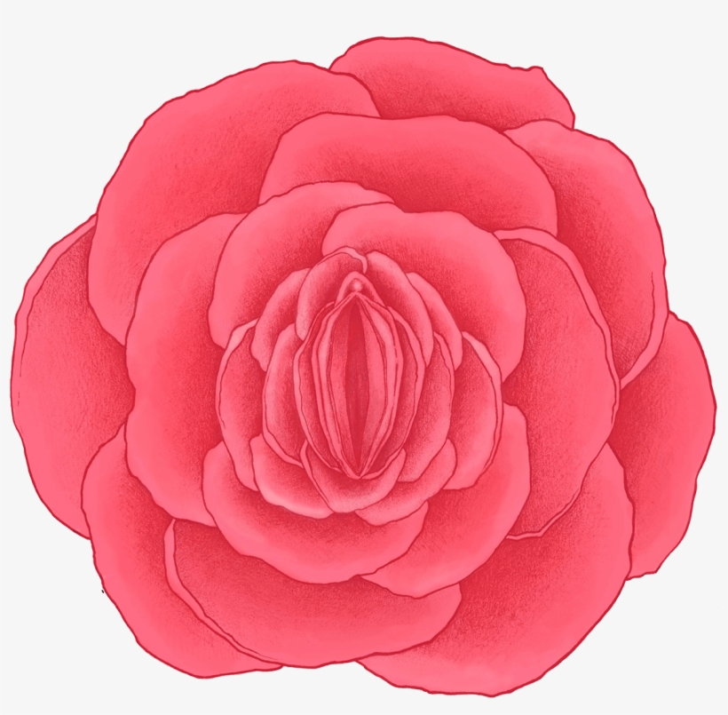 Rose Vagina, transparent png #2570737