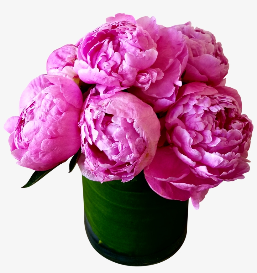 Birthday Hot Peonies - Parfum Luminata, transparent png #2570904
