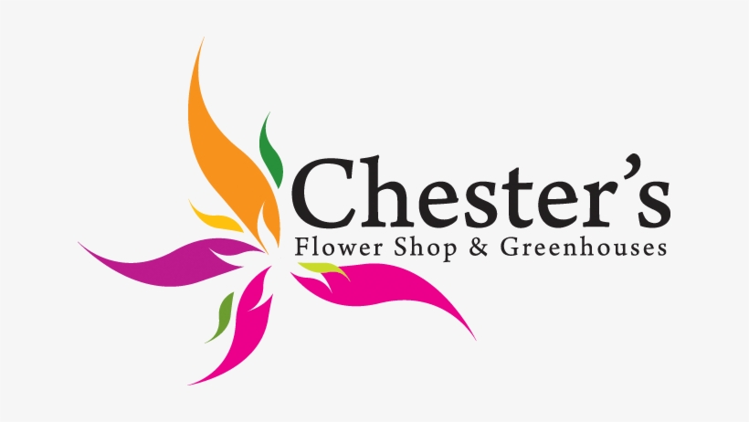 Chester's Flower Shop And Greenhouses - Chester's Flower Shop, transparent png #2571137
