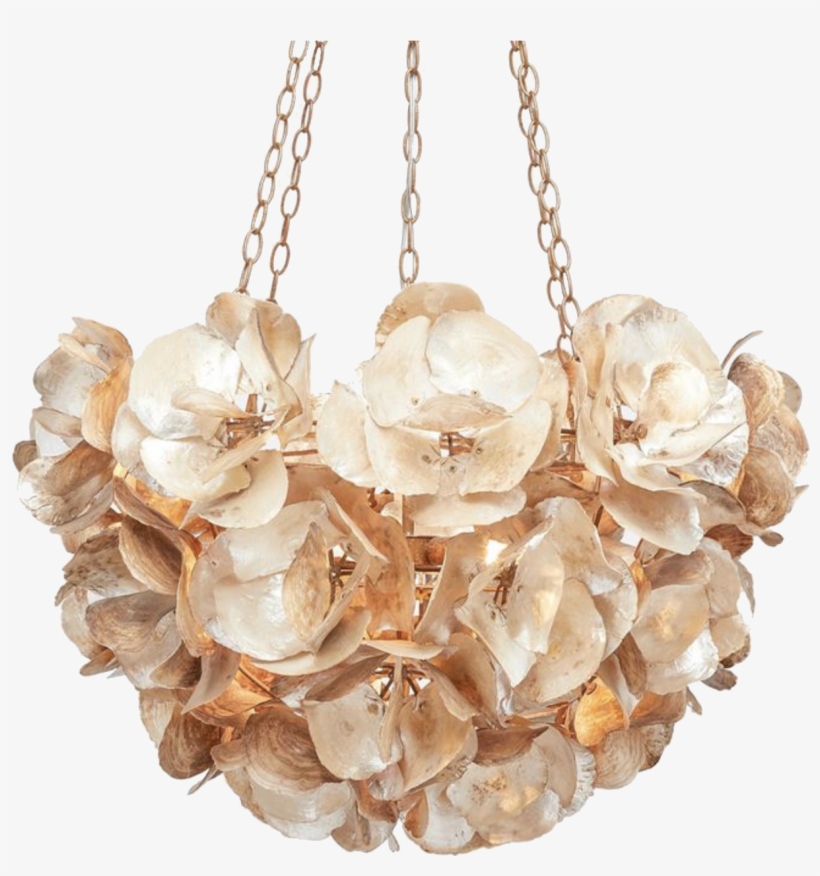 Oyster Chandelier, transparent png #2571650
