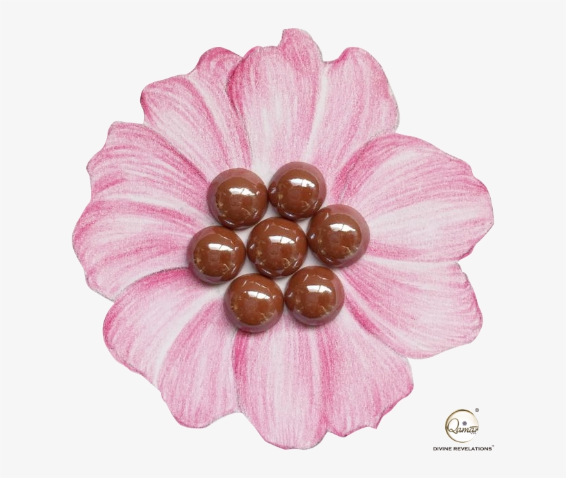 Brown - Zinnia, transparent png #2571807