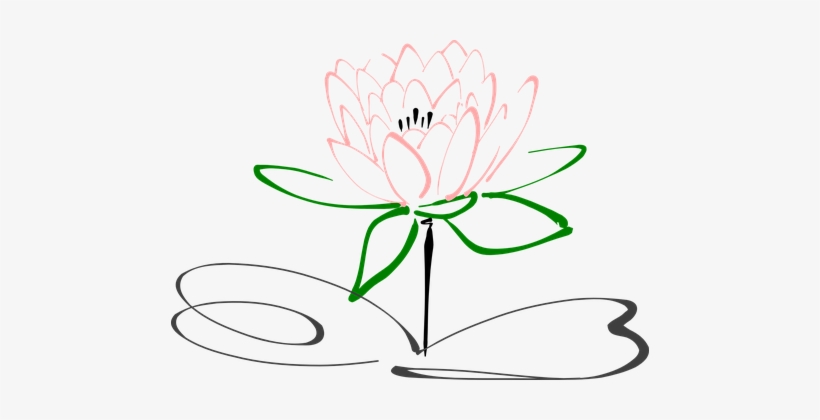 Lotus Flower Blossom Plant Nature Pink Blo - Drawing Lotus Flower, transparent png #2572334