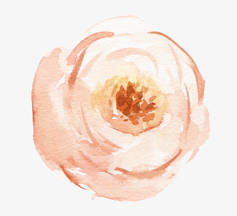 Watercolor Hand-painted Flower Material - Watercolor Painting, transparent png #2573346