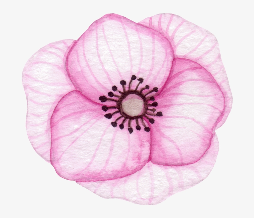 Baby Naming Services - California, transparent png #2573373