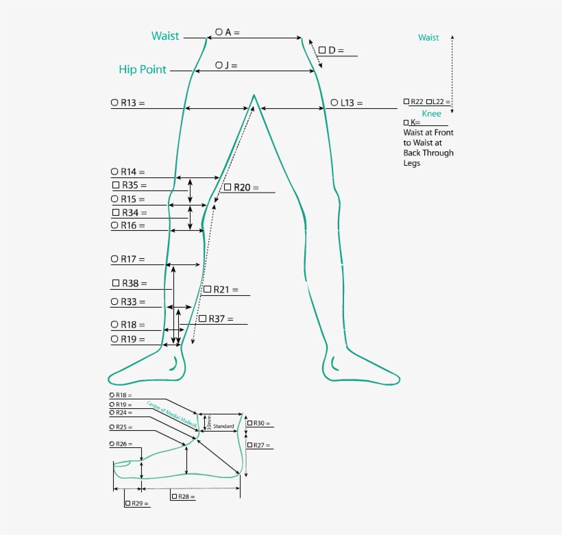 Ct Panty Longlegs R - Diagram, transparent png #2573718