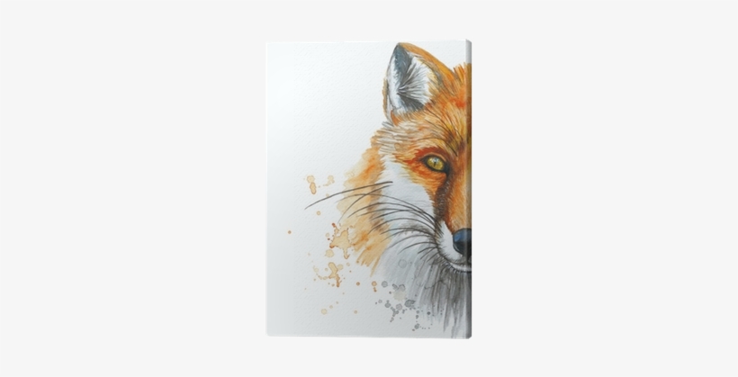 Painted With A Watercolor Drawing Of A Red Fox, The - Raposa Desenho, transparent png #2573746