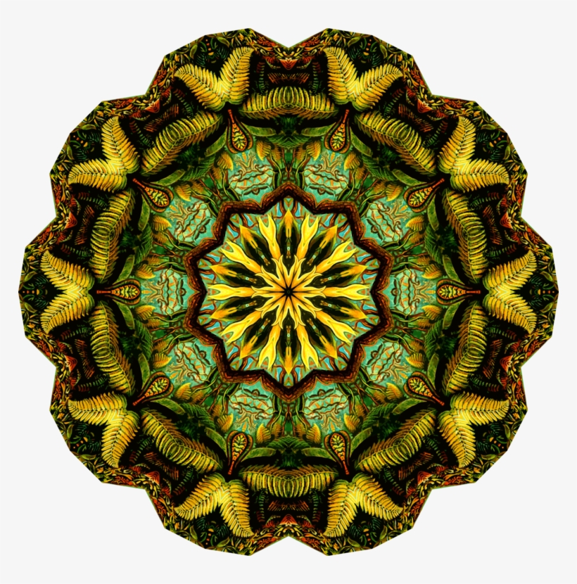 Adj Products Monster Duo Dual Lens High Output Moonflower - Filicinae Nature Art Print Poster By Ernst Haeckel, transparent png #2574000