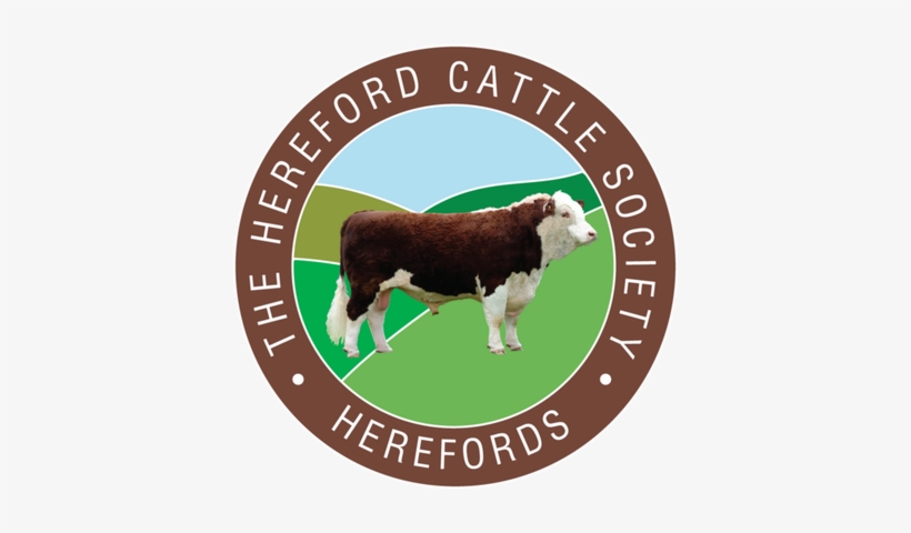 Hereford Cattle Uk - Hereford Cattle Society Logo, transparent png #2574107