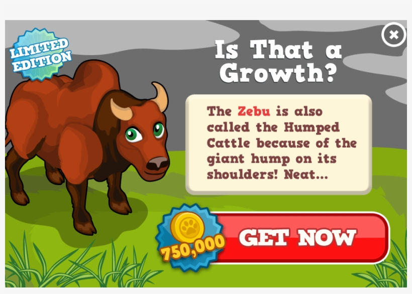 As Humped Cattle, Indicus Cattle, Cebu Or Brahmin Cattle - Happy Island, transparent png #2574239