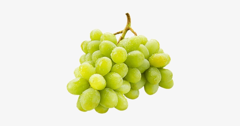Green Grapes - Kombucha Niagara Grape Sparkling Wonder Drink - 250, transparent png #2575125