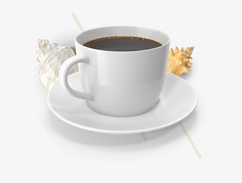 Beverages - Nole Cafe, transparent png #2575389