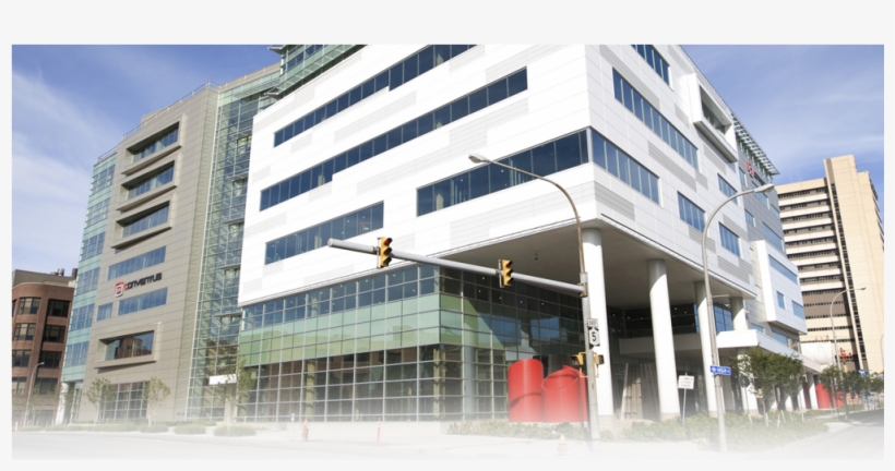 Services Available - Conventus, transparent png #2575805
