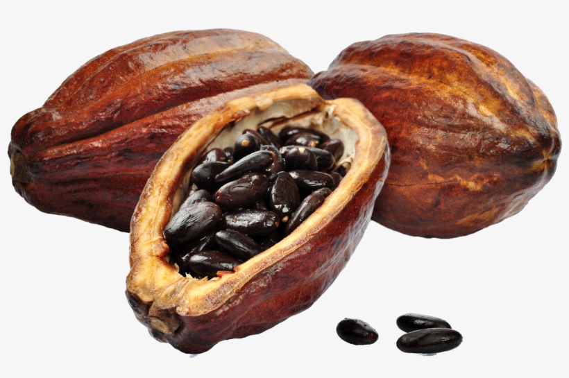 Imagenes De El Cacao, transparent png #2576439