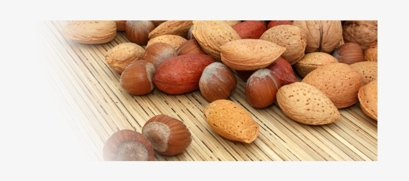 Almond, transparent png #2576535