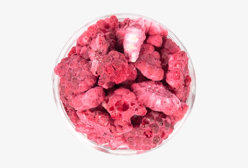Raspberry Freeze Dried Diced - Raspberry, transparent png #2576615