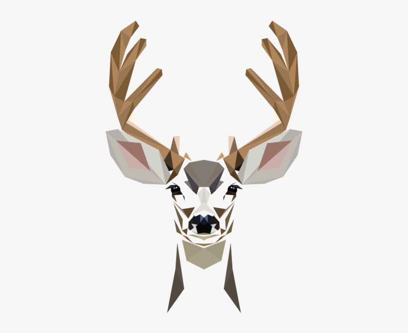 Animal Graphics - Animal Graphic Png, transparent png #2577048