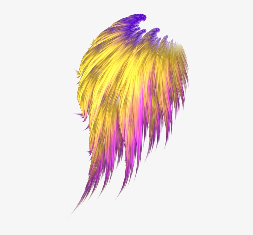 Angel Wings Png By Astrantia - Colorful Angel Wings Png, transparent png #2577360