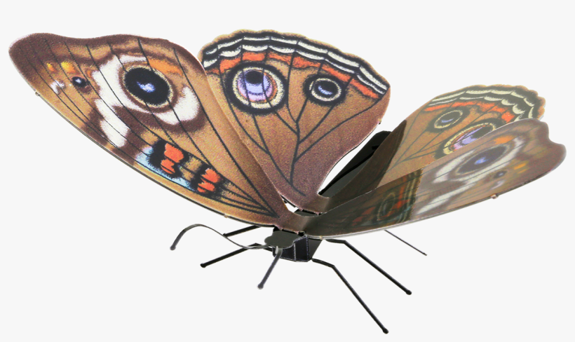 Picture Of Buckeye - Metal Earth Butterfly Buckeye, transparent png #2577552