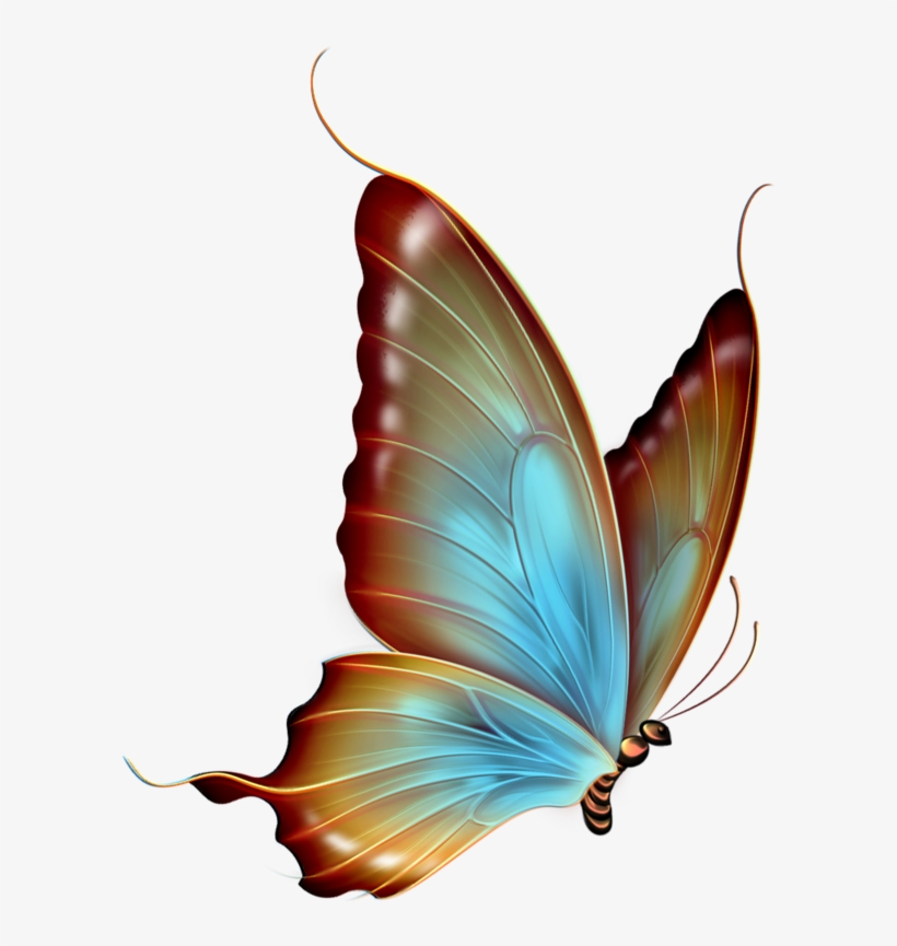 Transparent Background Butterfly Png, transparent png #2577692