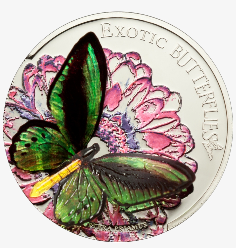 Butterflies - Exotic Butterflies Tokelau, transparent png #2577876