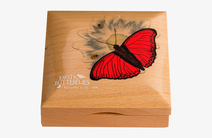 Zoom - Plywood, transparent png #2578033