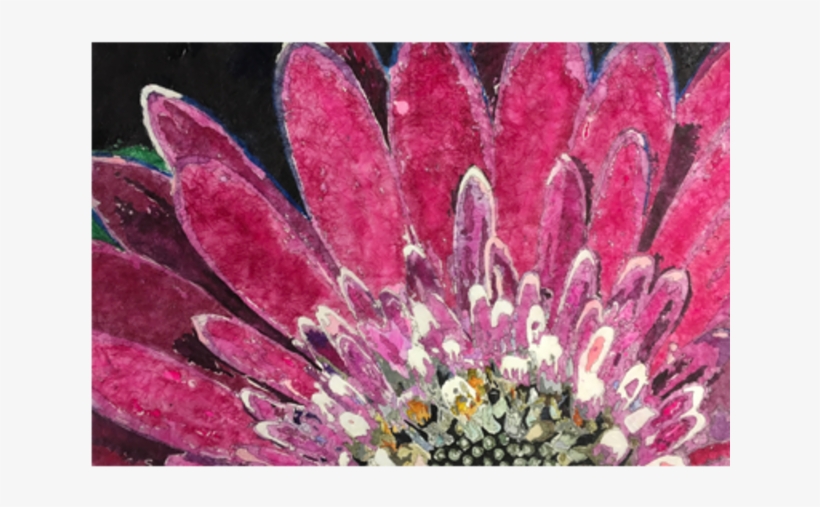 Search Our Site - Protea, transparent png #2578741