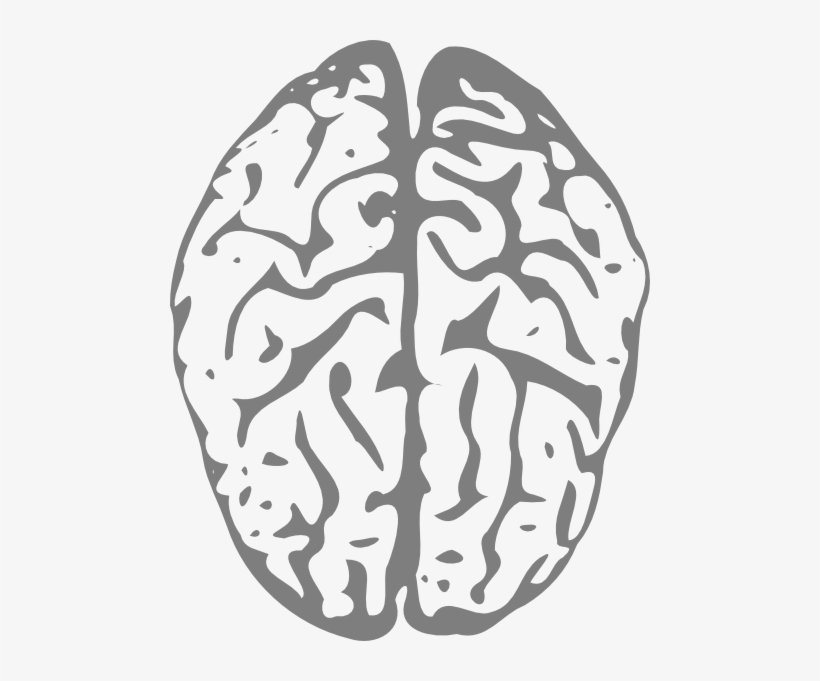 Small - Animated Brain, transparent png #2578744