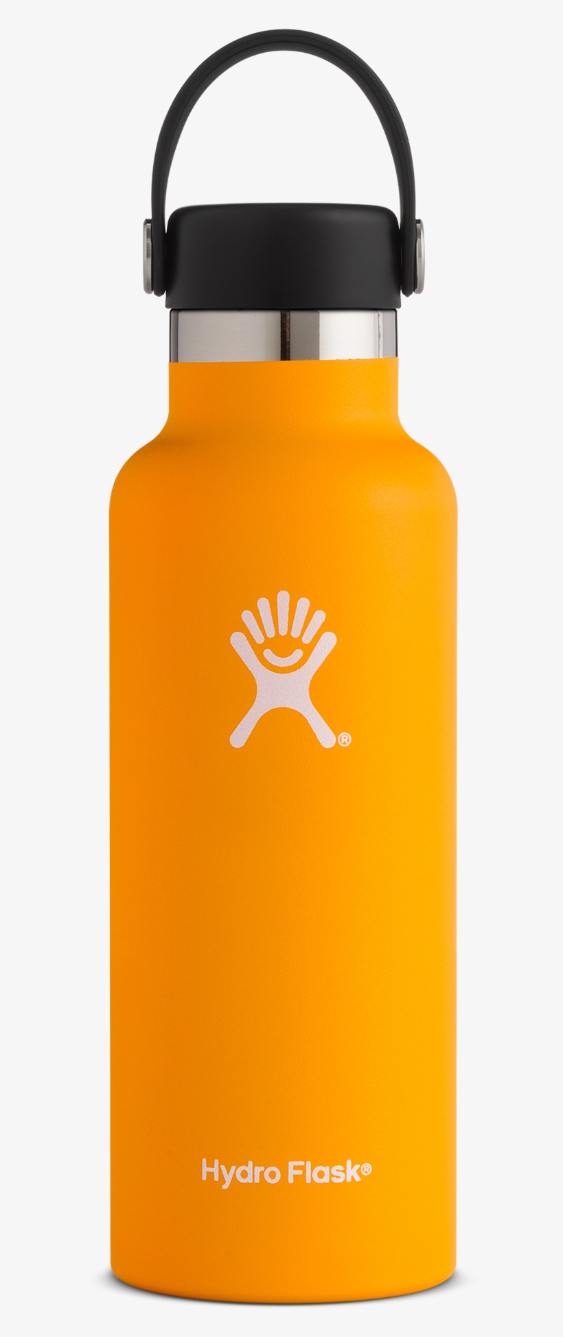 Mango - Hydro Flask 12oz Standard Mouth Insulated Bottle, transparent png #2579056