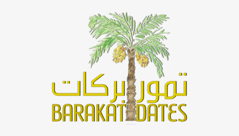 Al Barakah Dates Factory Llc, transparent png #2579567