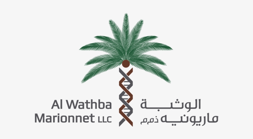 Attalea Speciosa, transparent png #2579701