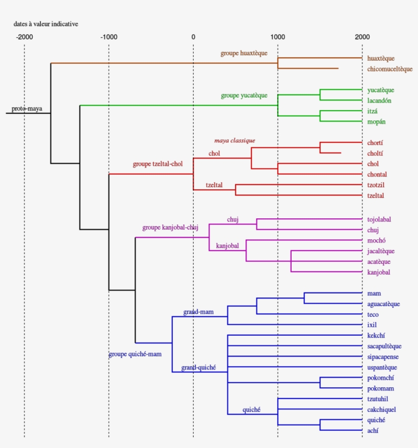 Tree Of Maya Languages - Proto Maya, transparent png #2580009
