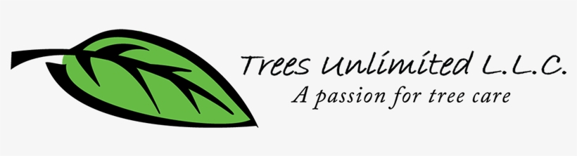 Trees Unlimited Trees Unlimited - Trees Unlimited, transparent png #2580268