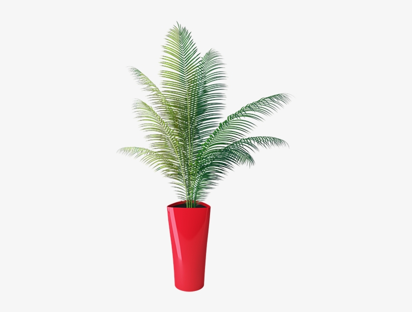 Delta 40 Flower Transparent - Houseplant, transparent png #2581251