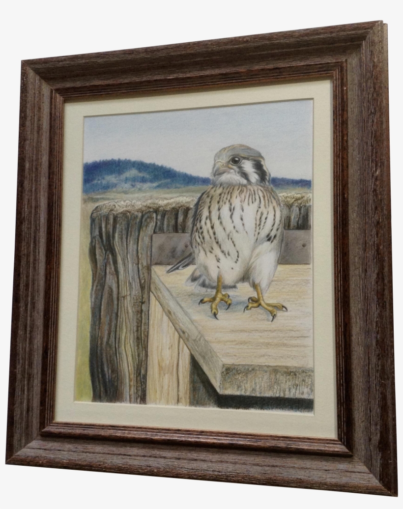 Tamara Sayre Baby Hawk Bird In The Mountains Watercolor, transparent png #2581900